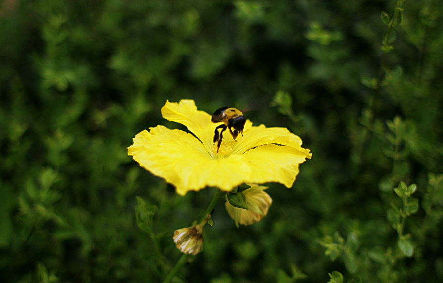 IMG_3878.jpg
