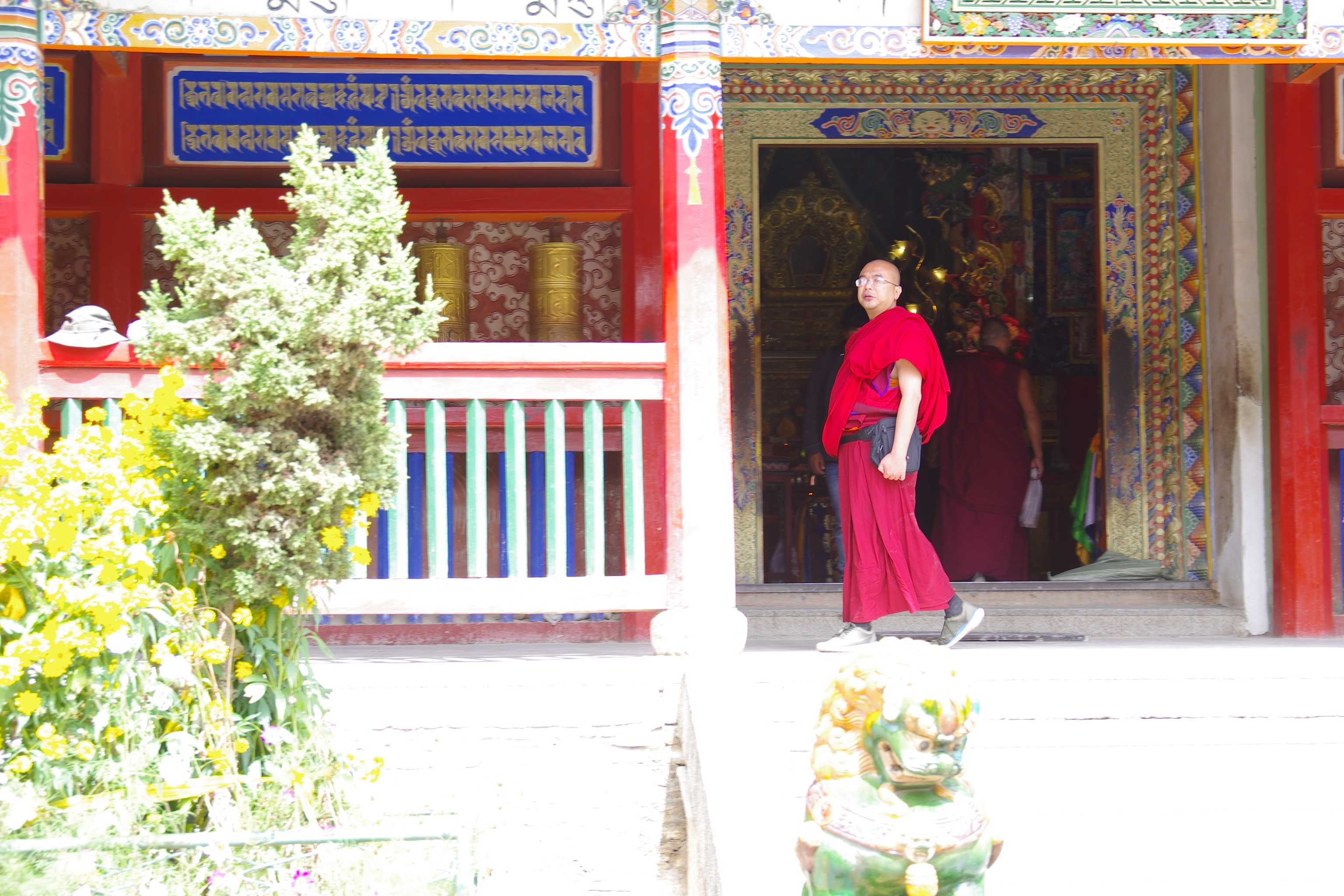 LXC37917.JPG