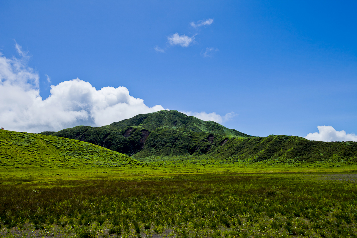 _MG_0181.jpg