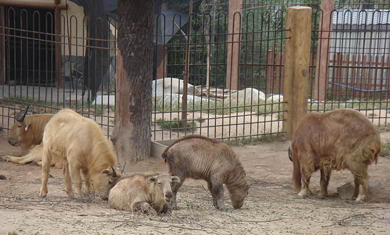 DSC07973_副本.jpg