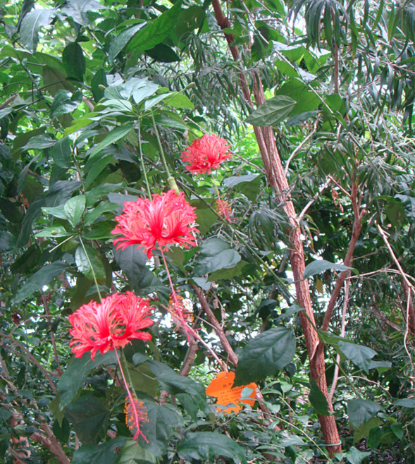 DSC08003_副本.jpg