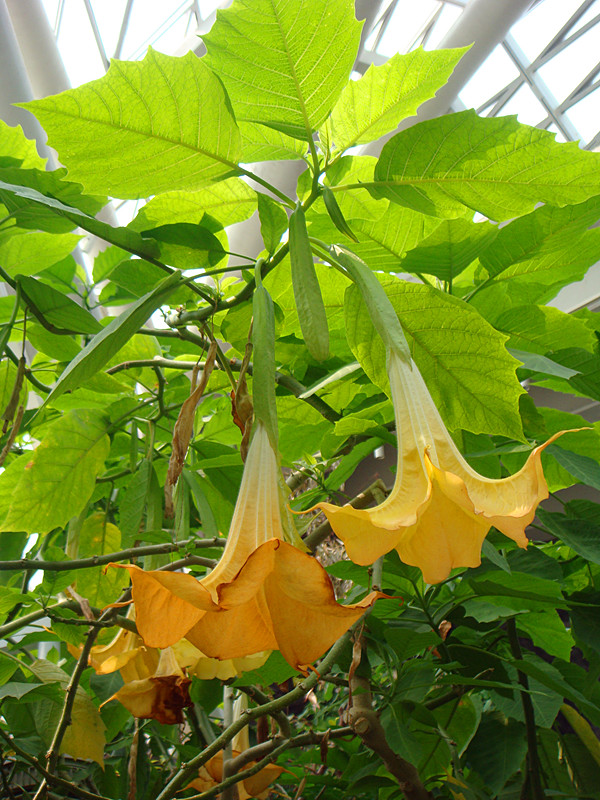 DSC08017_副本.jpg