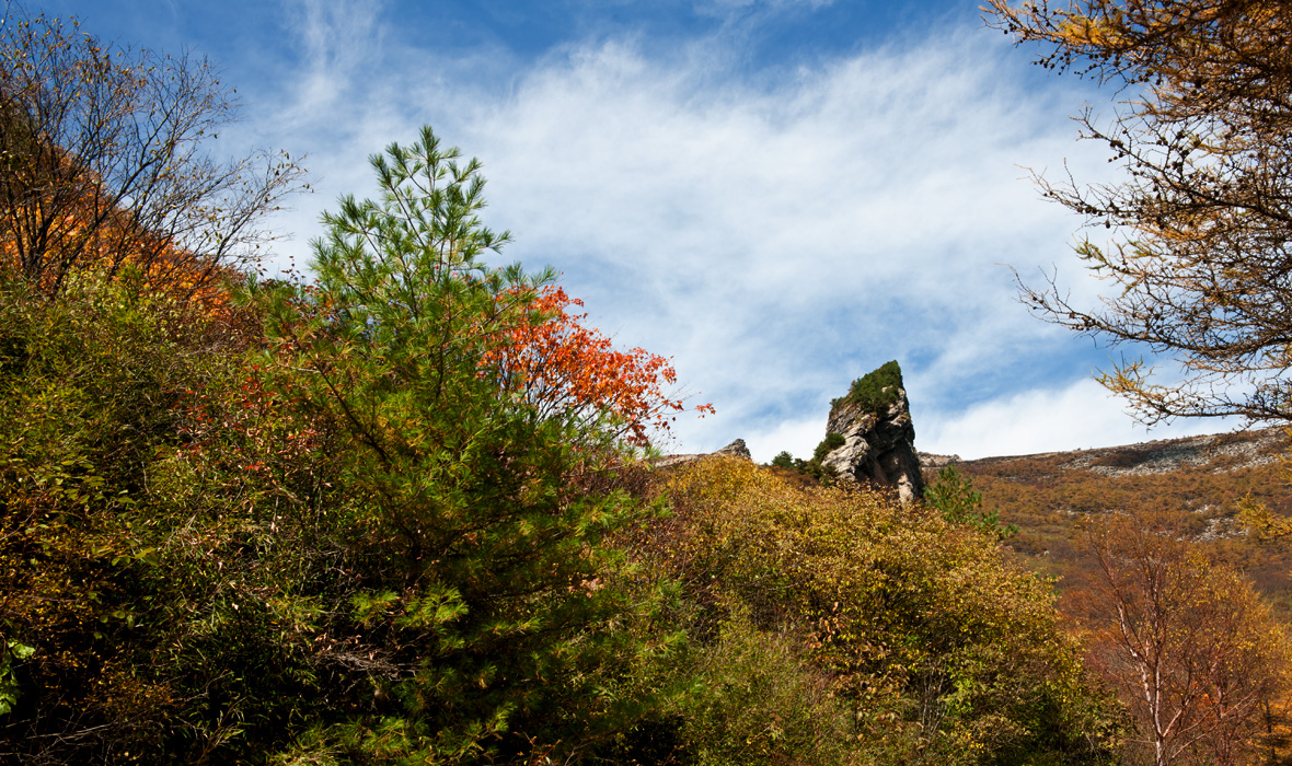 DSC_6693.jpg