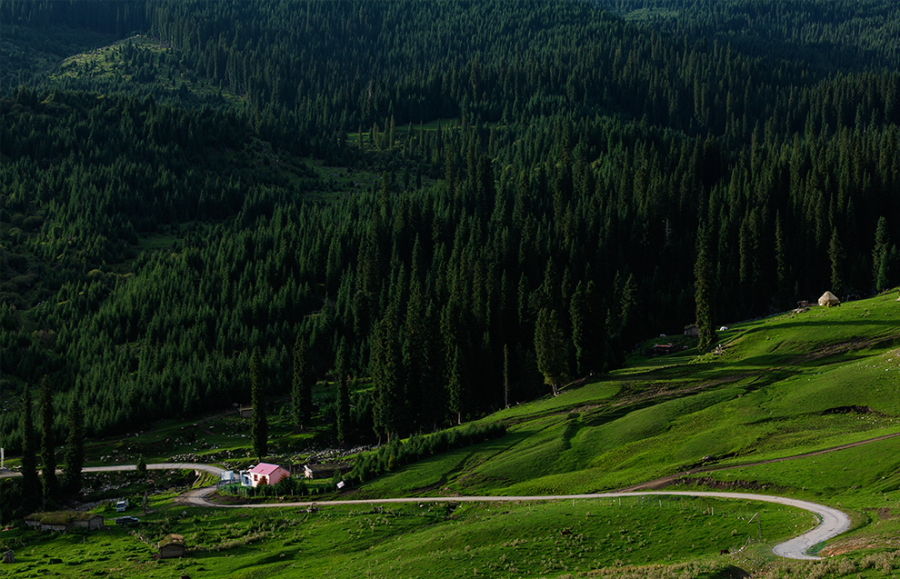 DPP_0105.JPG