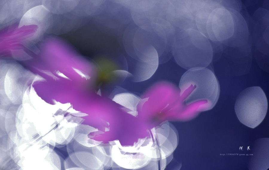 27099567_27099567_1381216844296_mthumb.jpg
