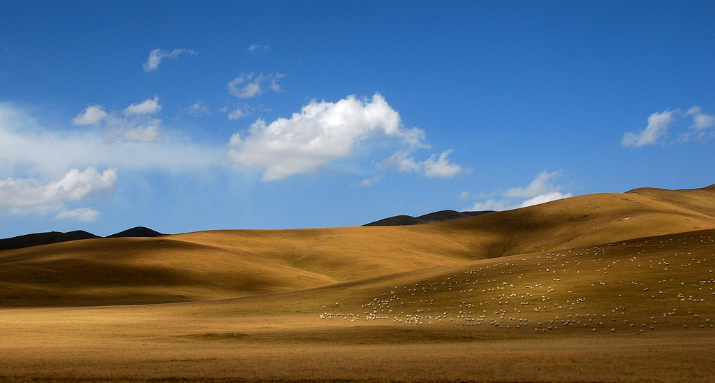 DSC_0389.JPG