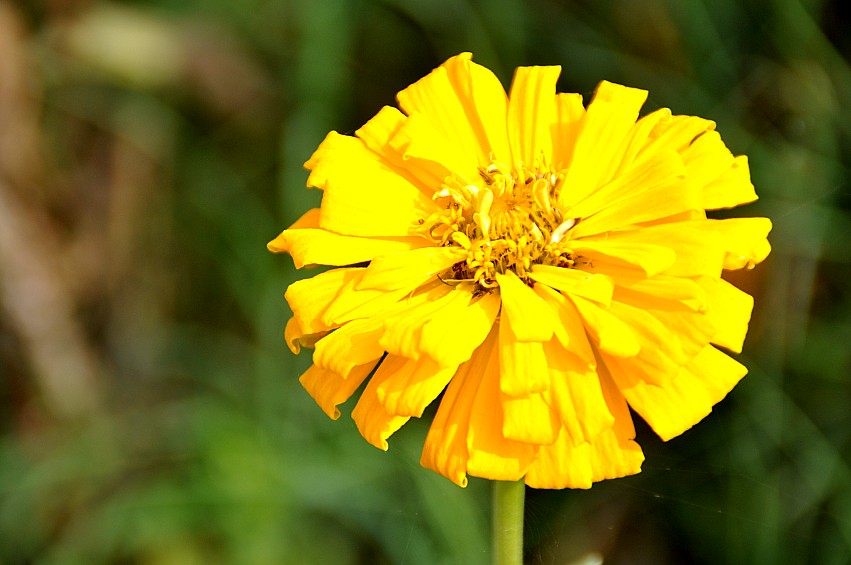 DSC_0025_conew1.jpg