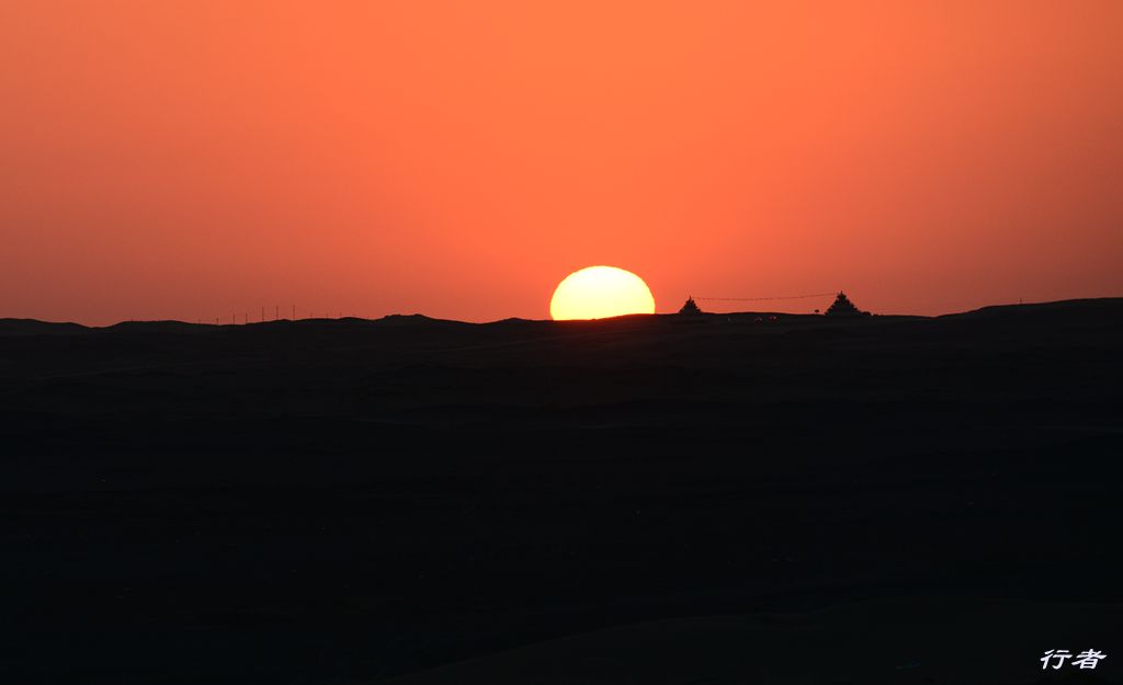 DSC_3941_副本.jpg