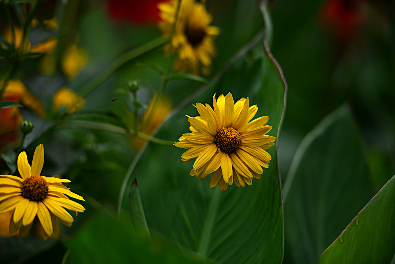DSC_2967。.JPG