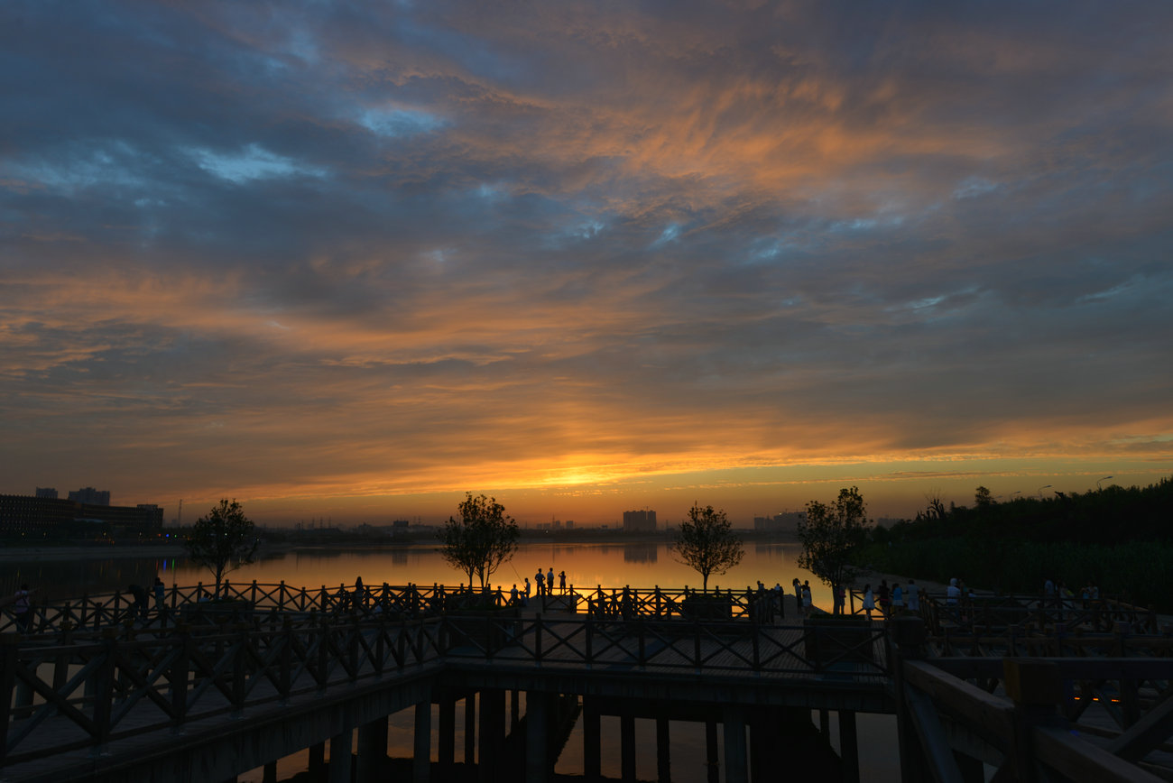 DSC_3562.JPG