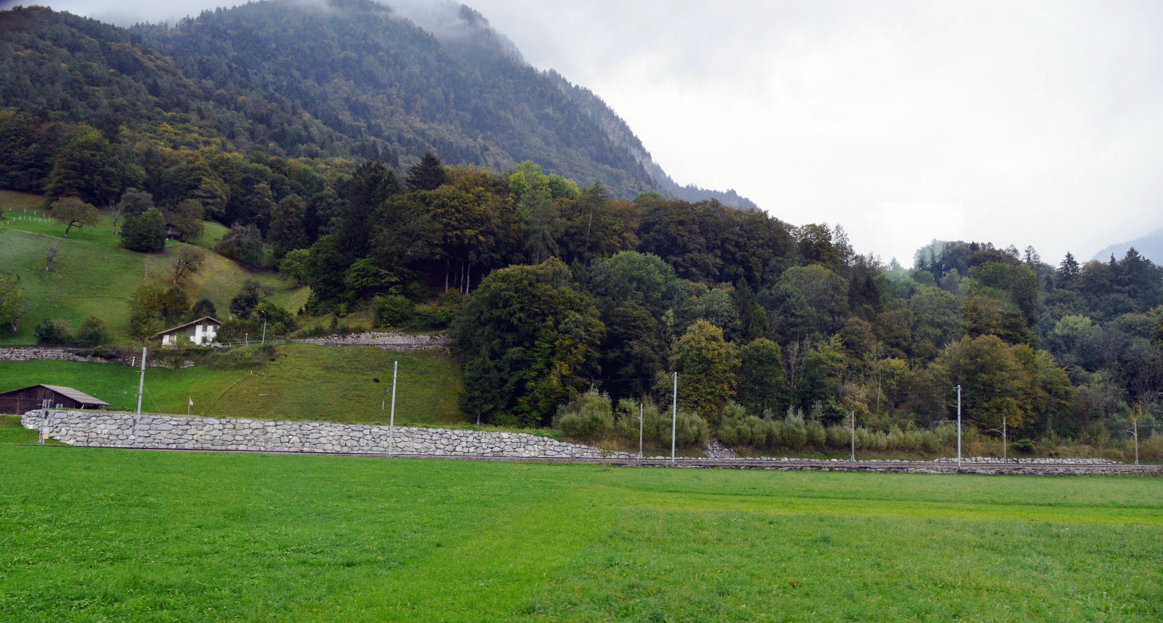 DSC_0321.JPG