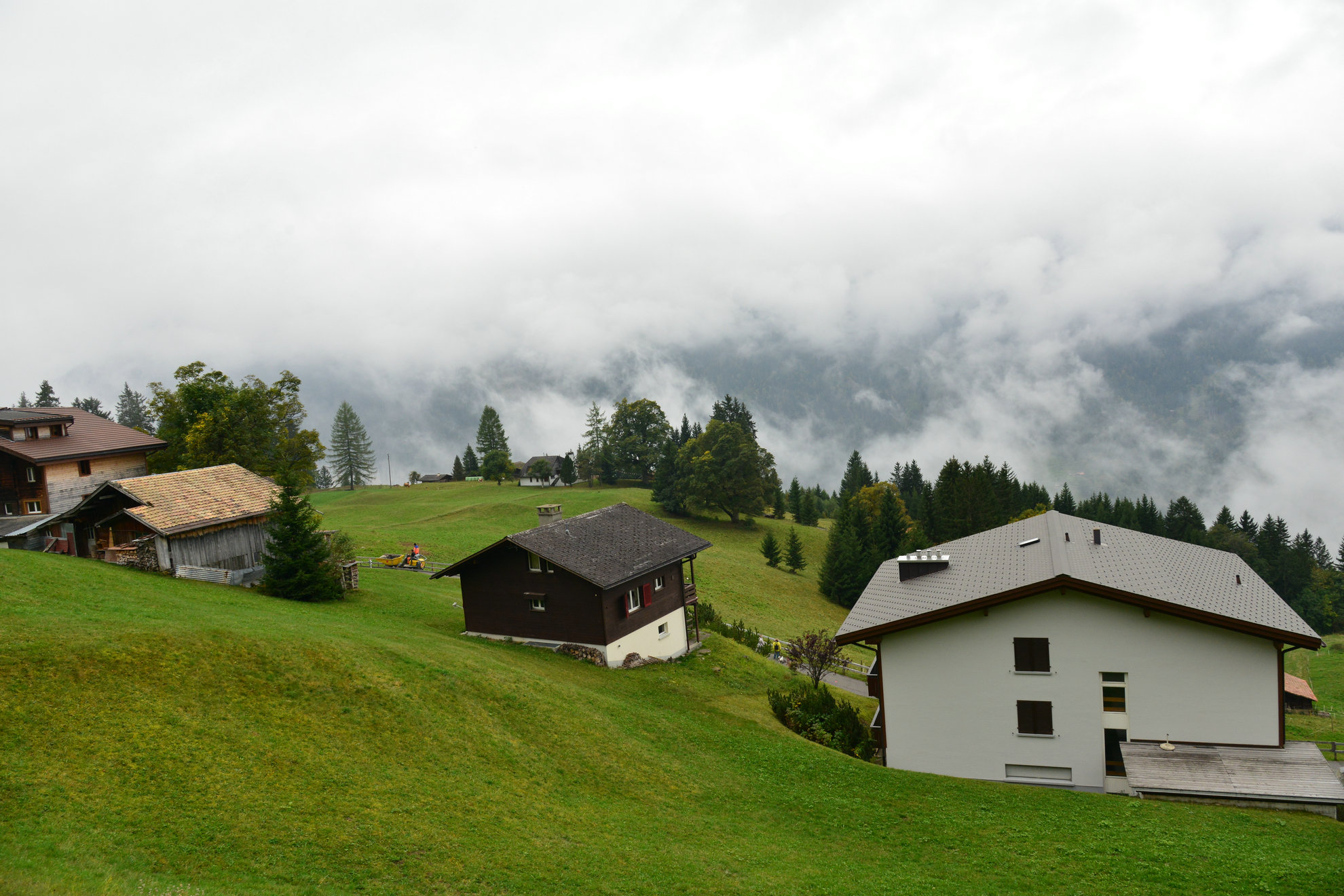 DSC_0227.JPG