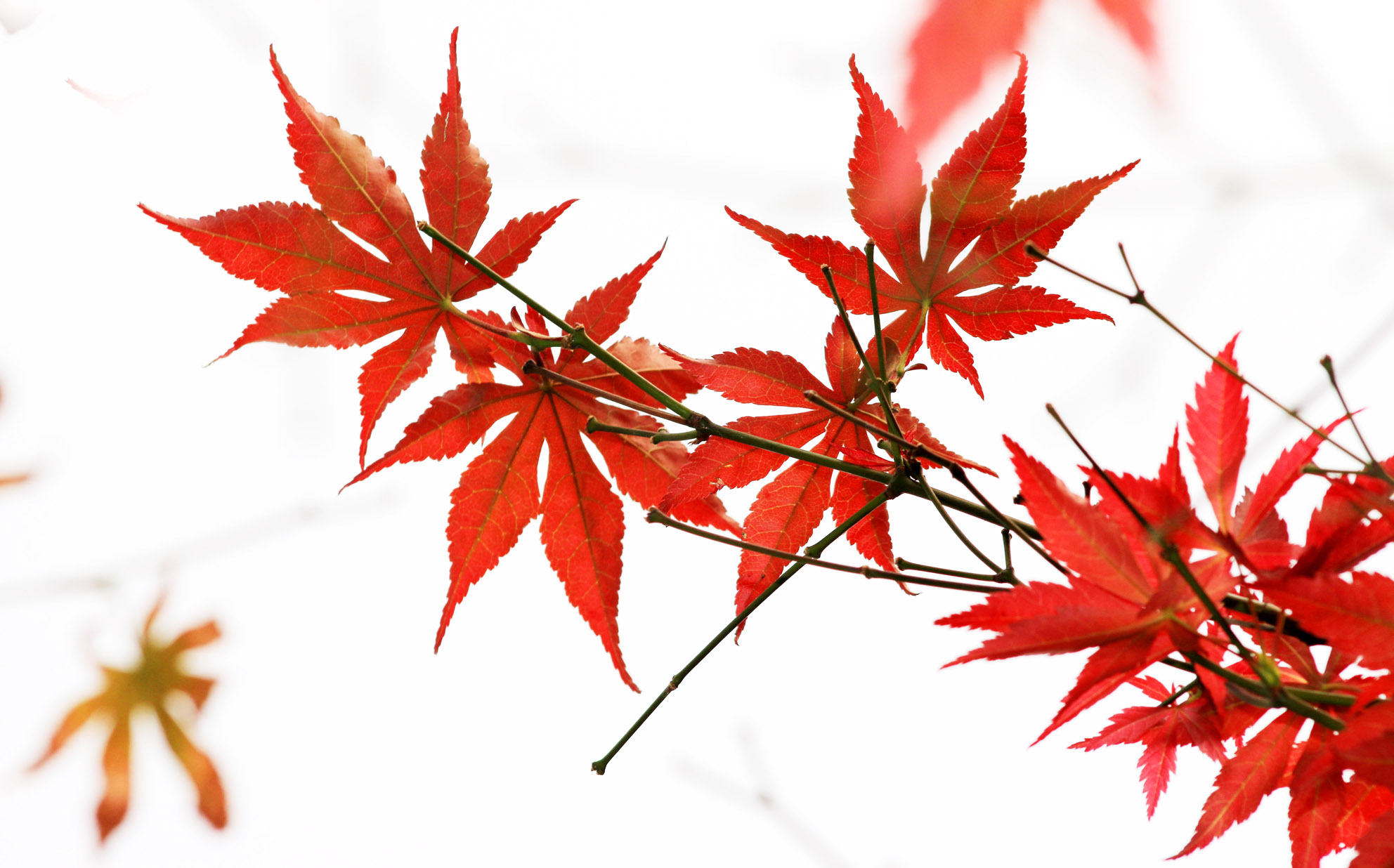 照片 028.jpg