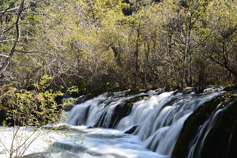 DSC_1268.JPG