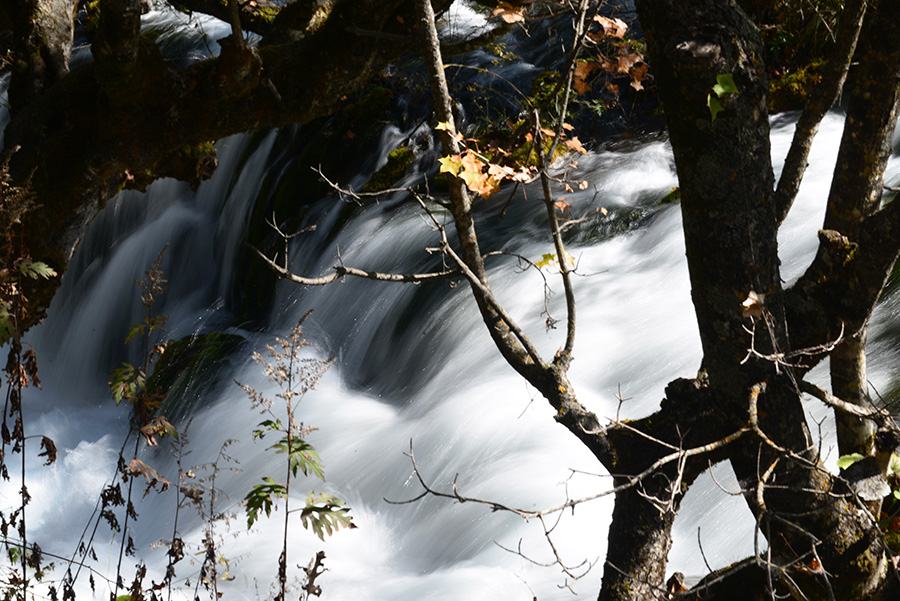 DSC_1333.JPG