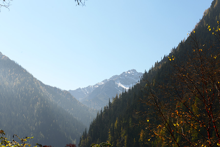 DSC_1397.JPG