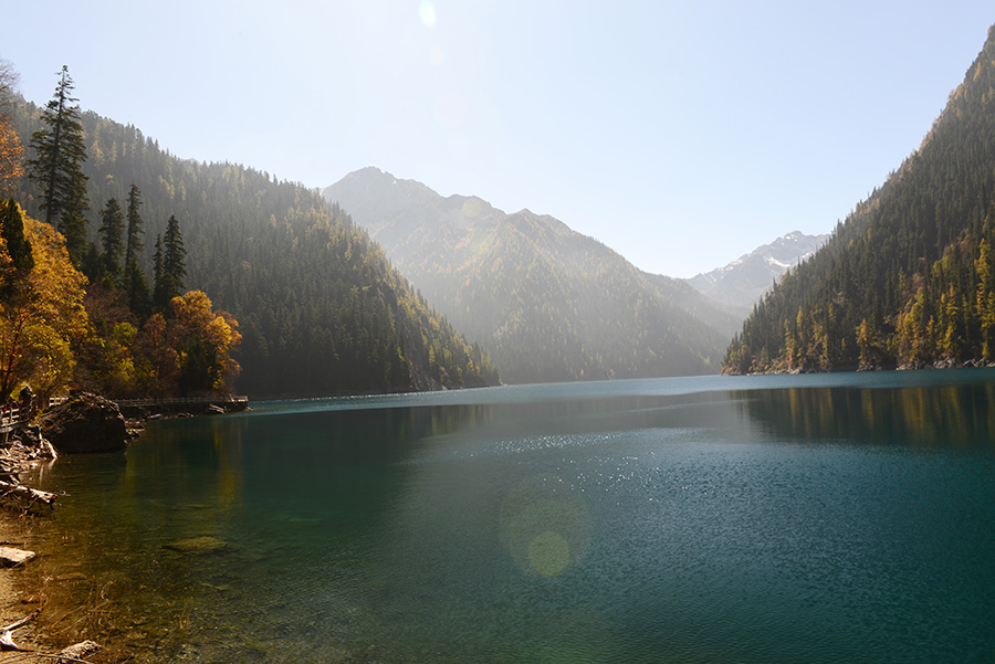 DSC_1419.JPG