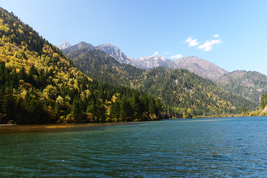 DSC_1543.JPG