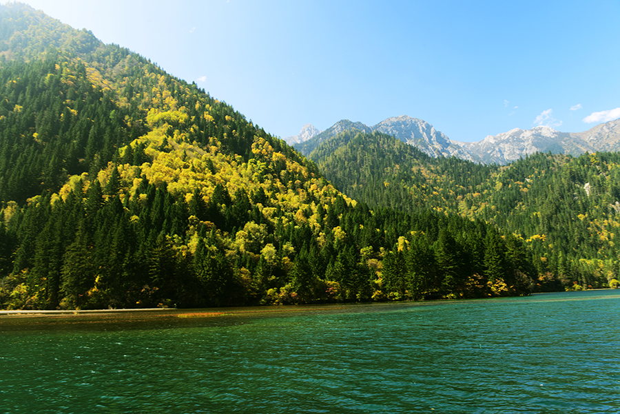 DSC_1547.JPG