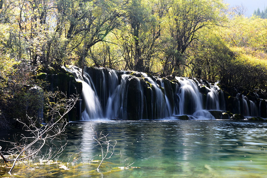 DSC_1579.JPG