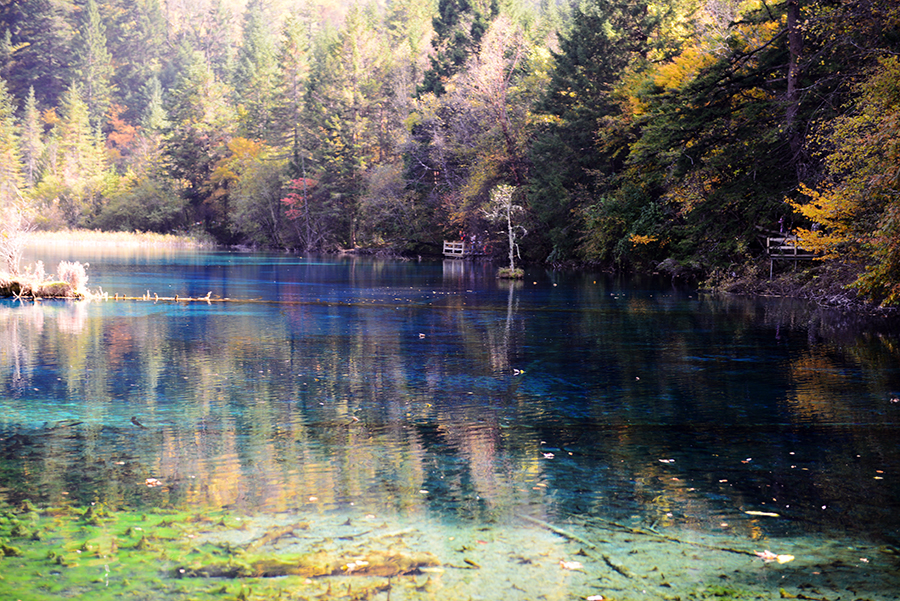 DSC_1688.JPG