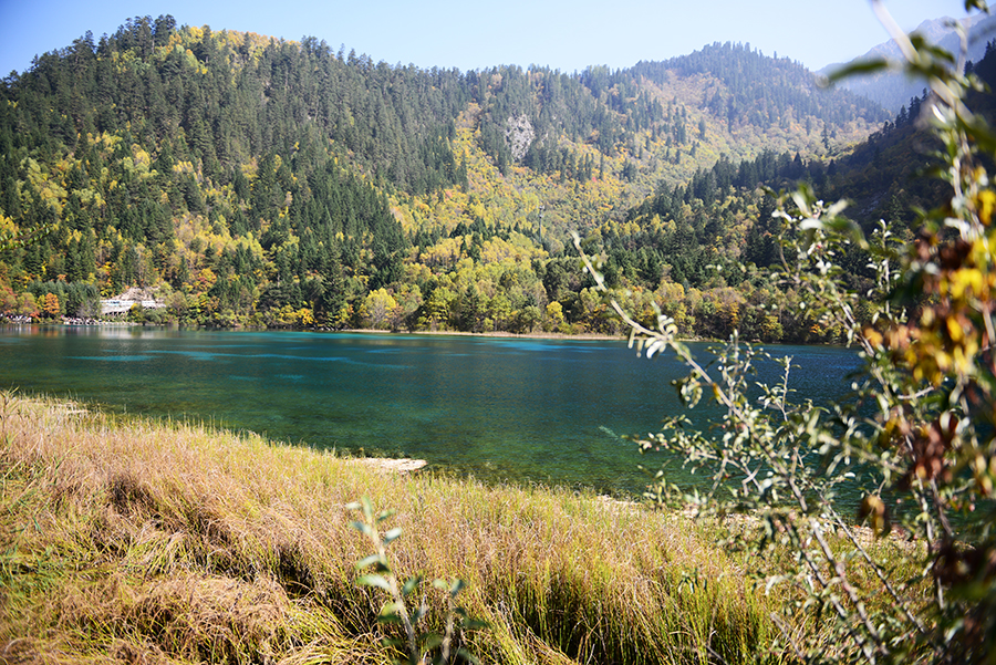 DSC_1703.JPG