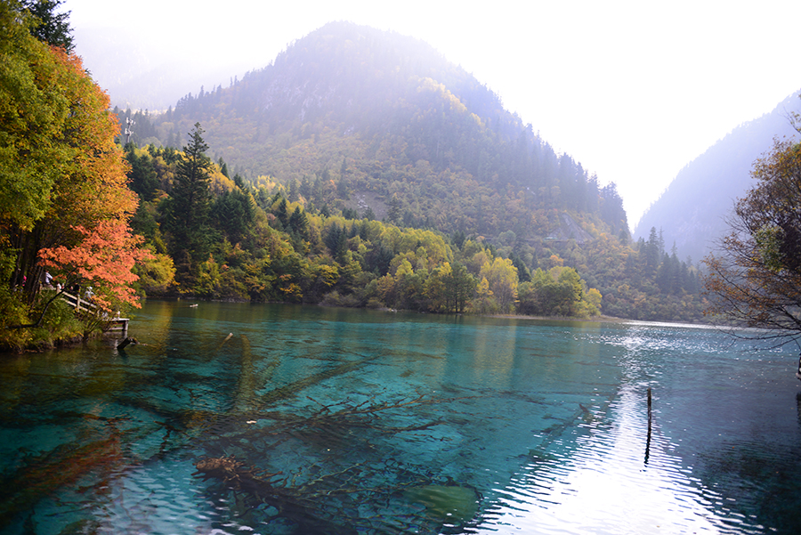 DSC_1762.JPG