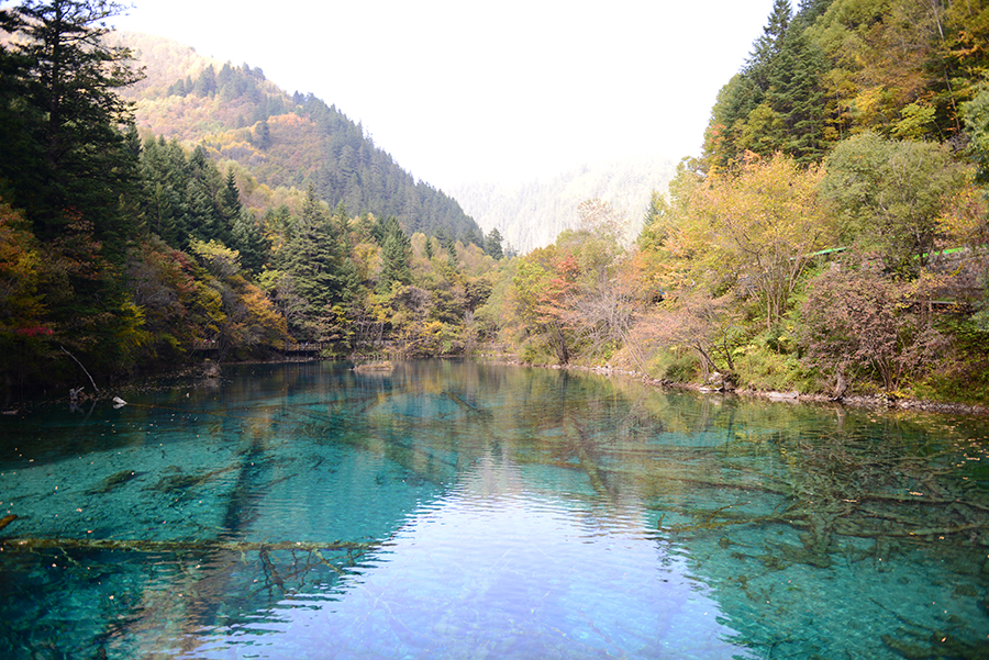 DSC_1769.JPG