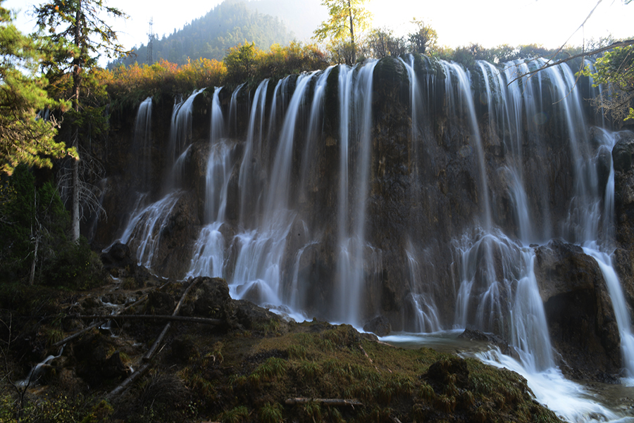 DSC_1856.JPG