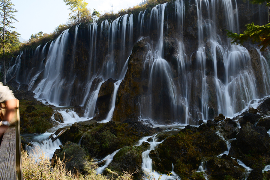 DSC_1889.JPG