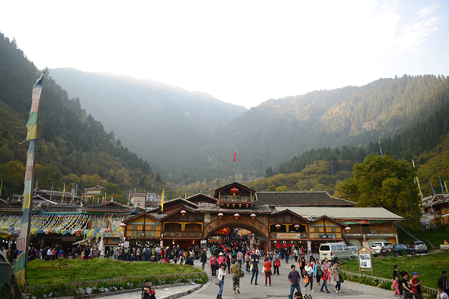 DSC_1921.JPG