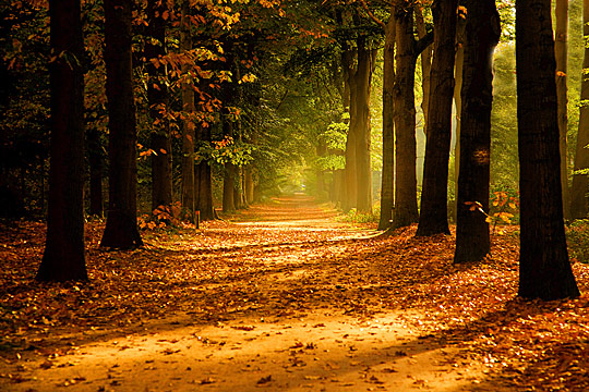 029-autumn.jpg