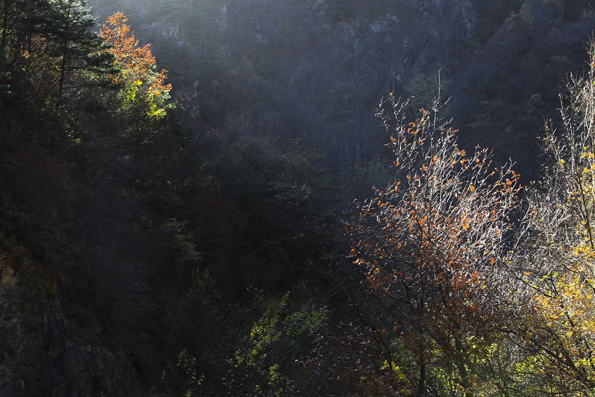 20131116_0396.jpg