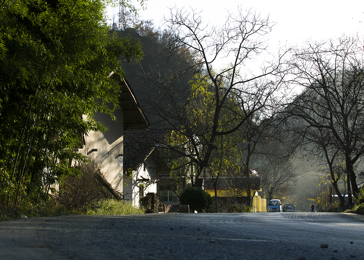 20131116_0447.jpg