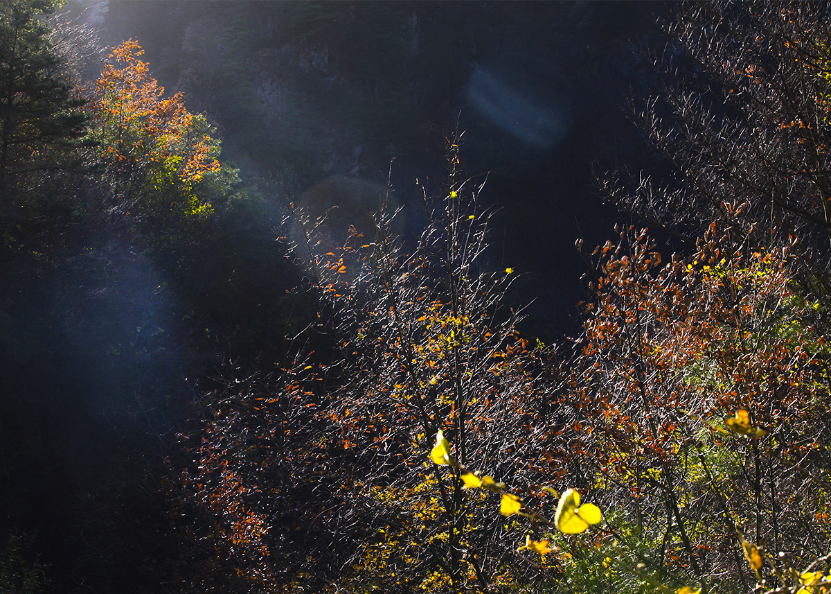 20131116_0400.jpg