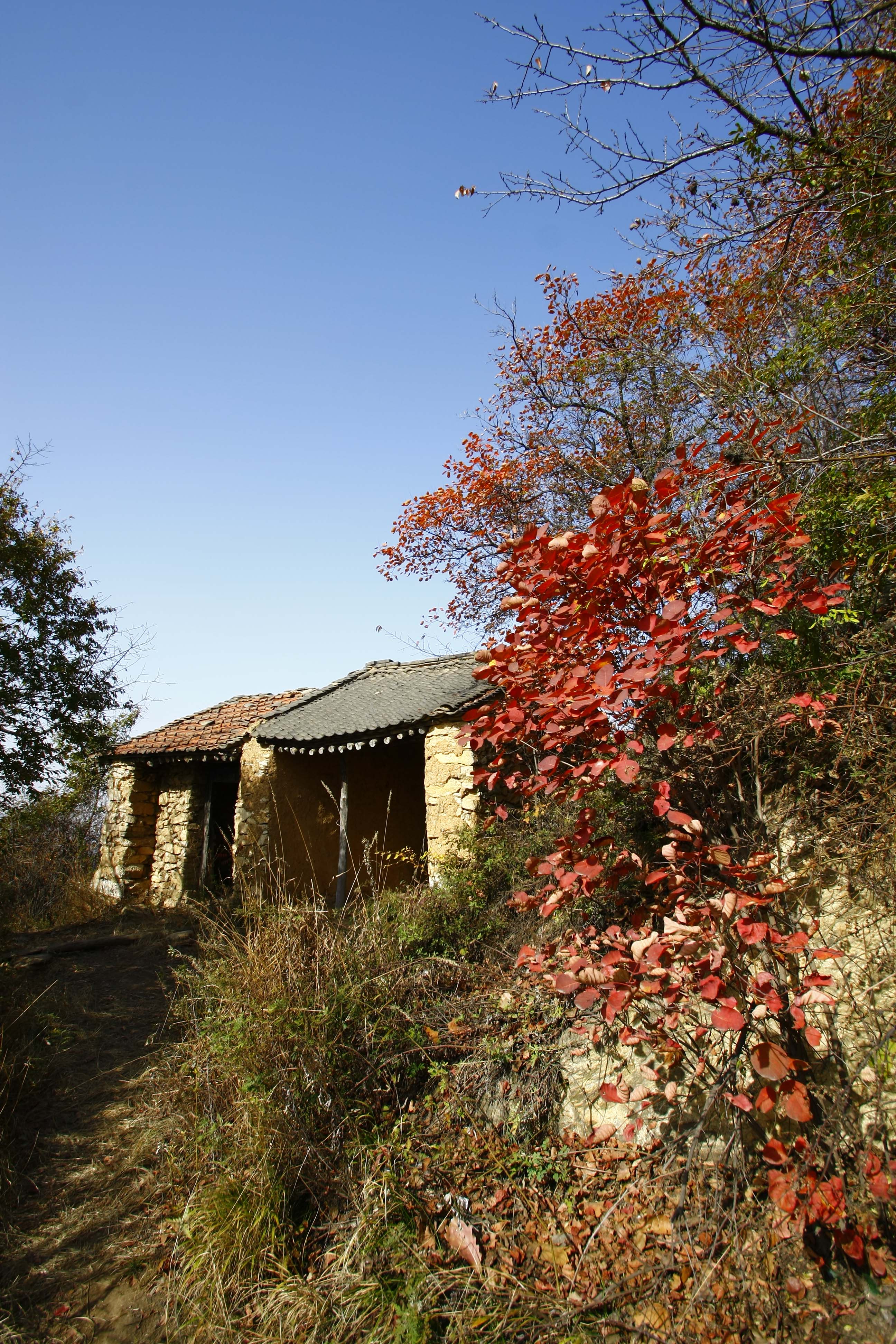 _MG_4998.jpg