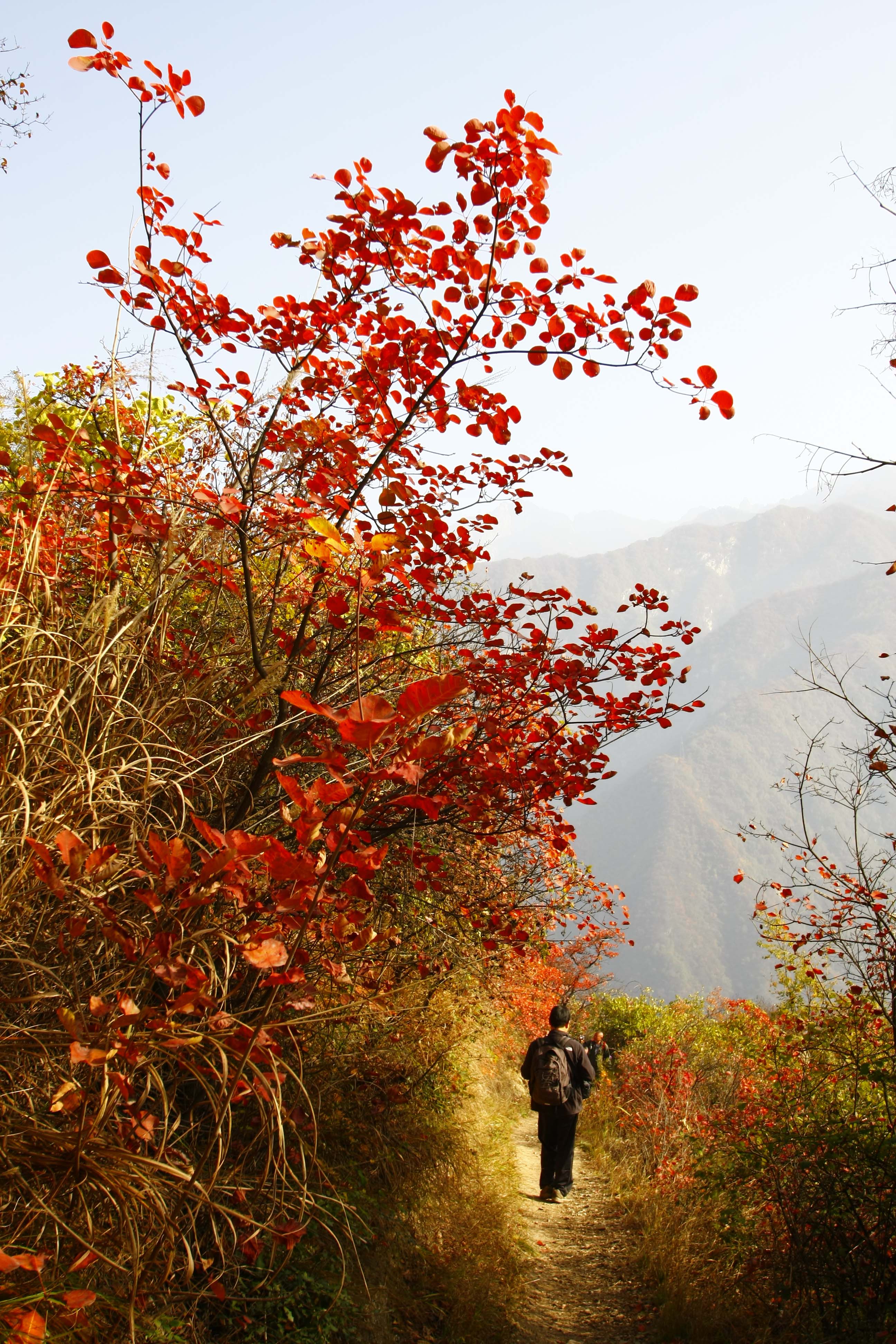 _MG_5177.jpg