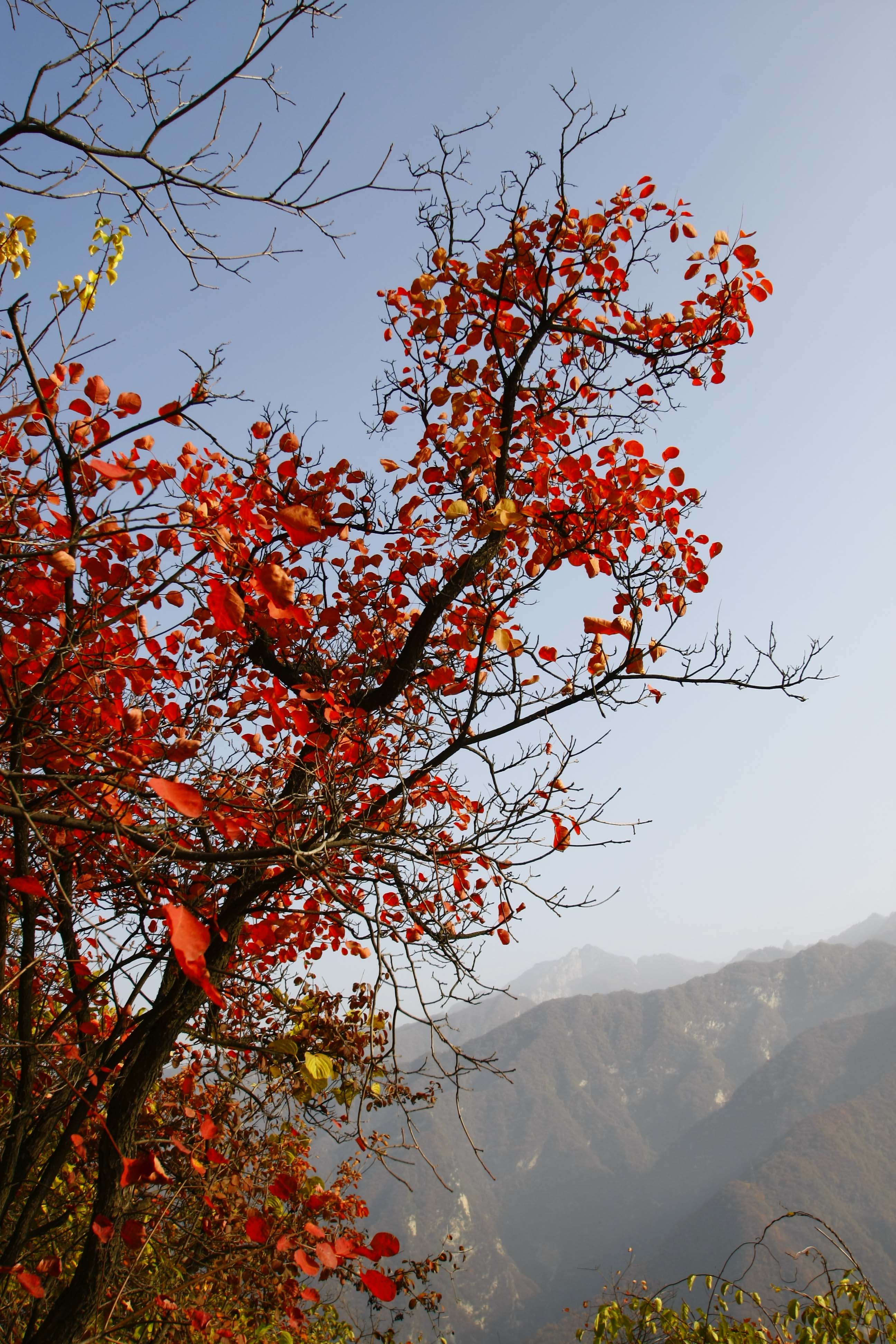 _MG_5179.jpg