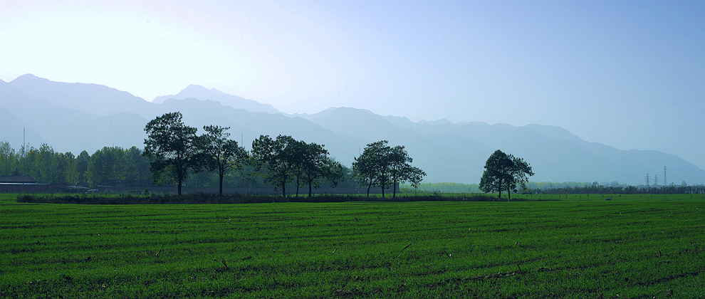 DSC_7901_副本.jpg