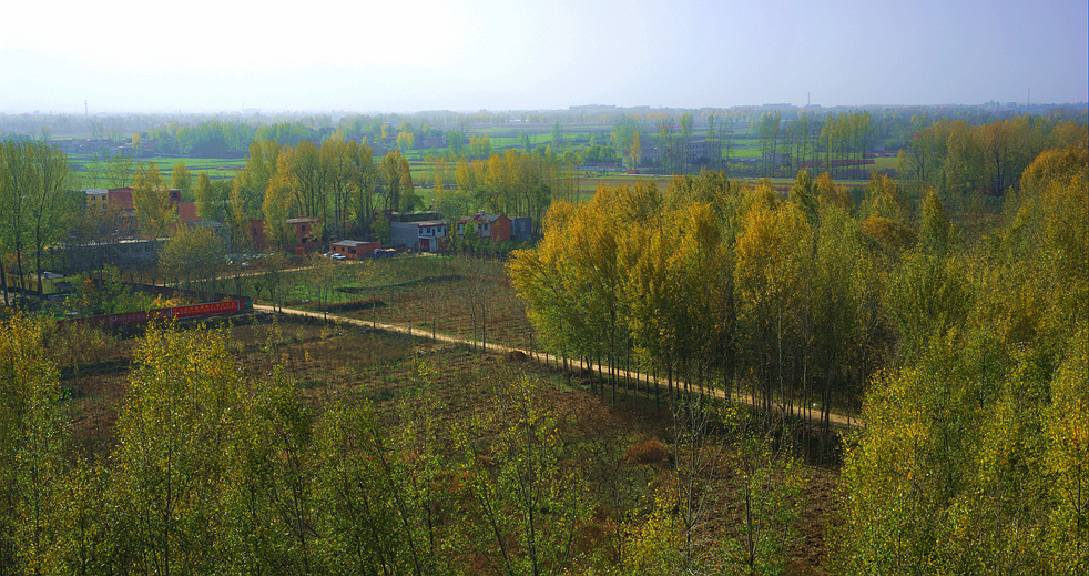 DSC_7883_副本.jpg