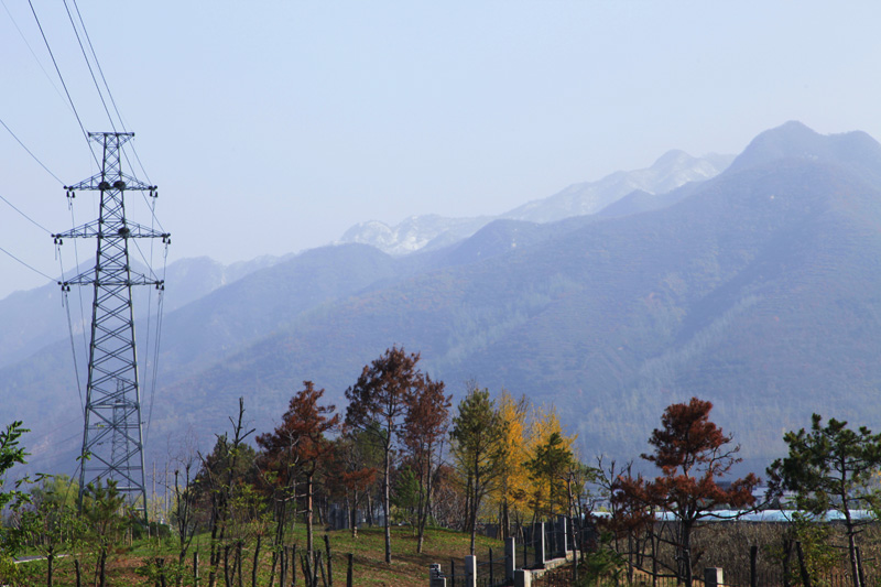 _MG_6654.jpg