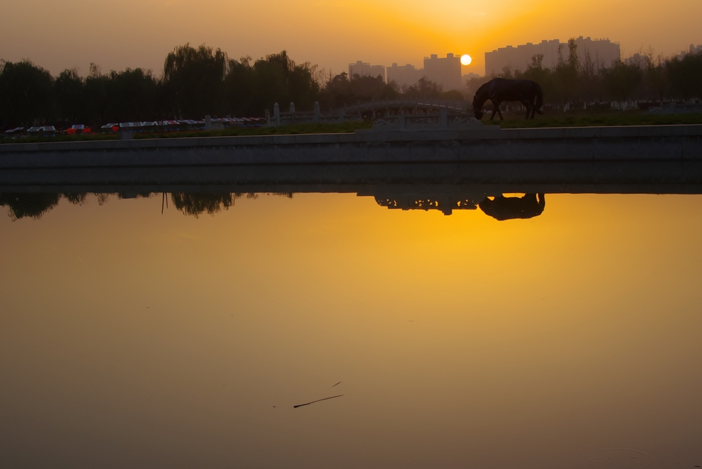 IMGP0671 (复制).jpg
