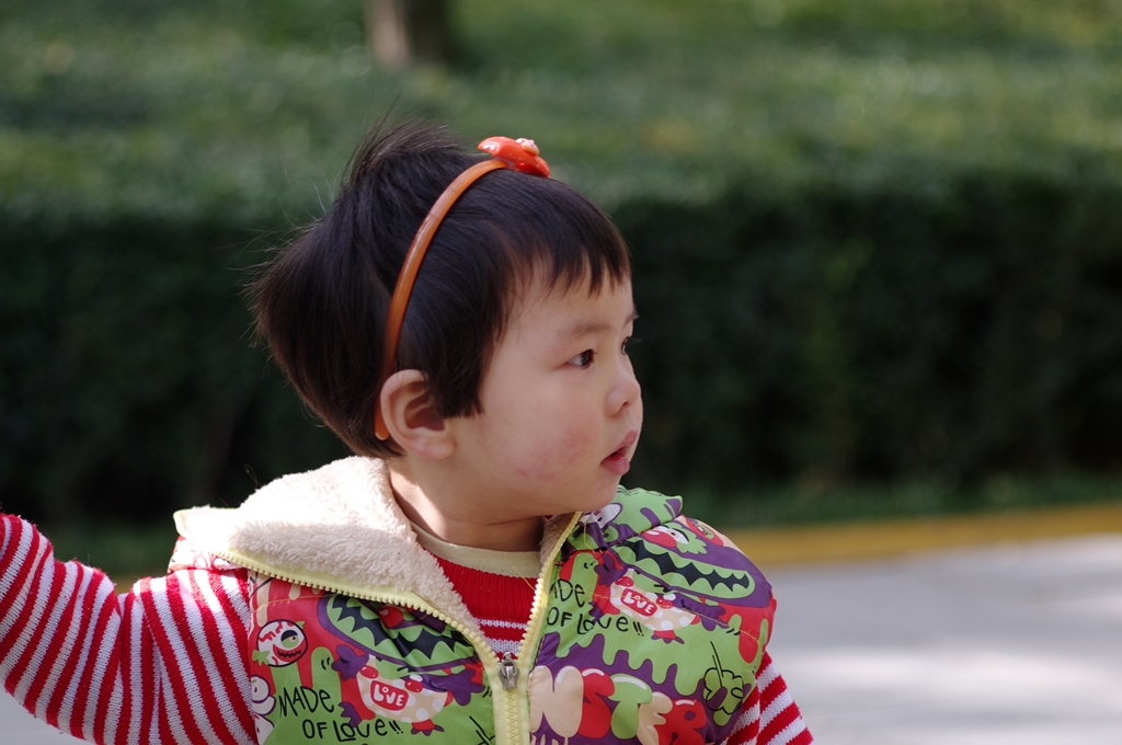 IMGP4585 (复制).jpg