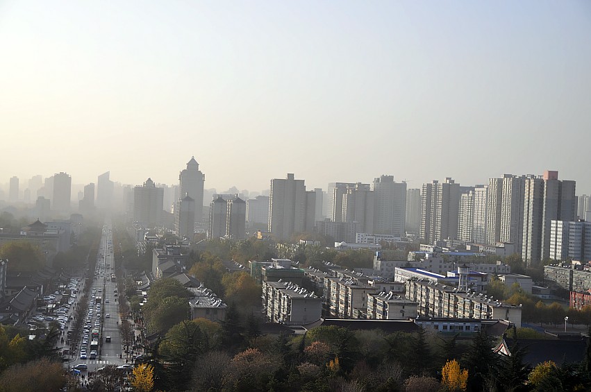 DSC_0260_conew1.jpg