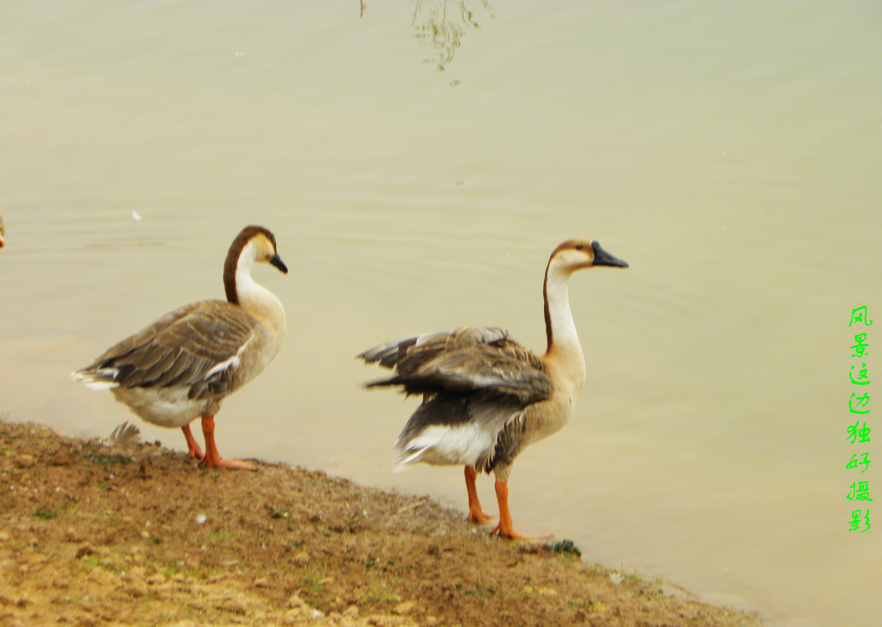DSCN7407.JPG