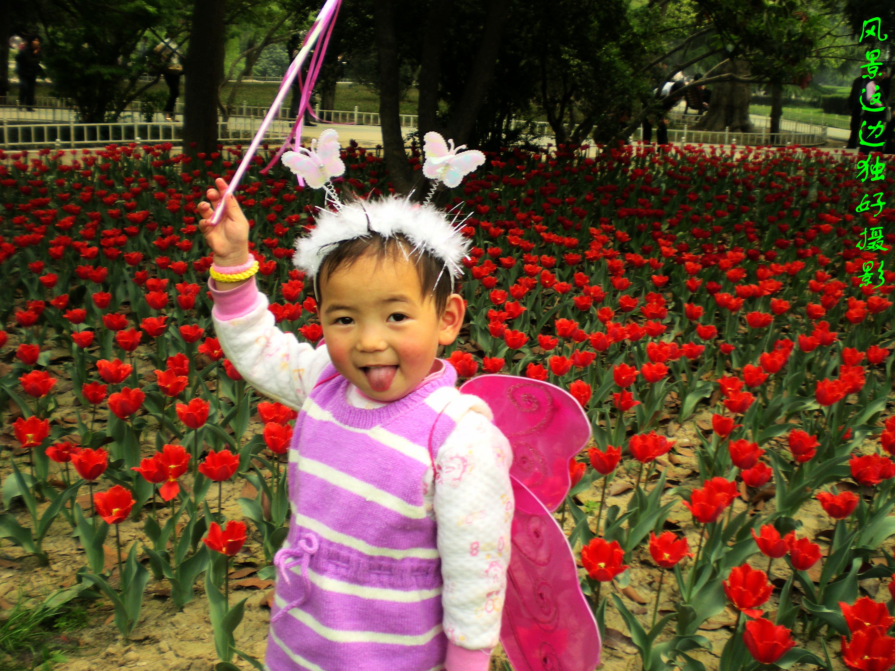 DSCN5557.JPG