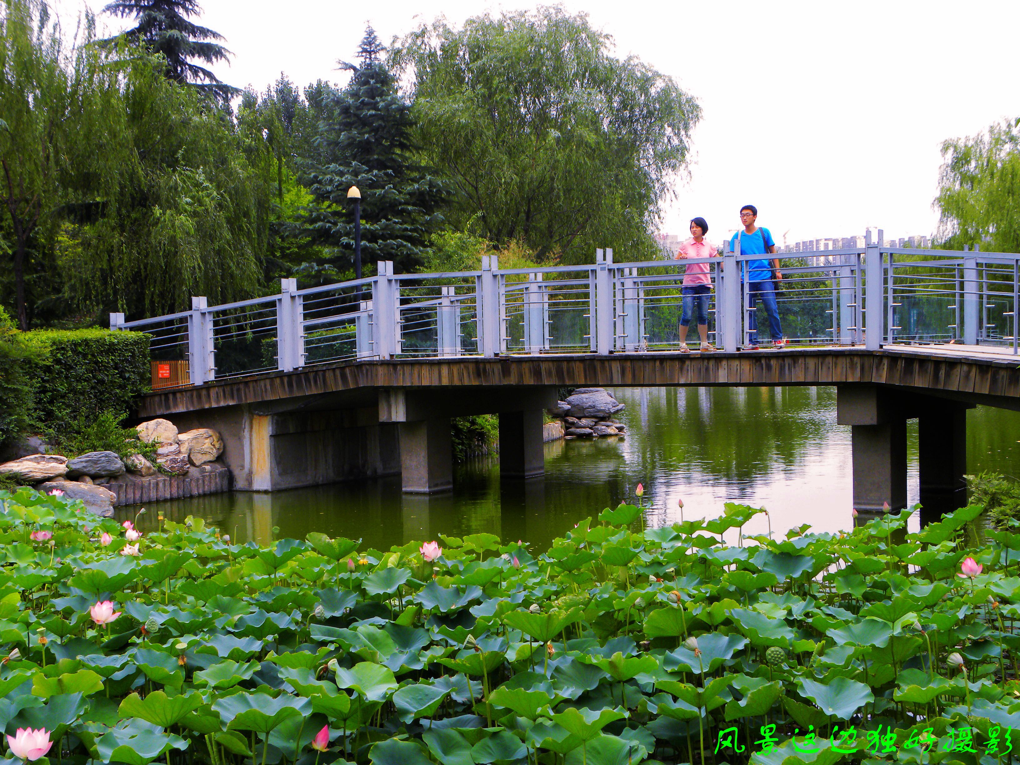 DSCN8706.JPG