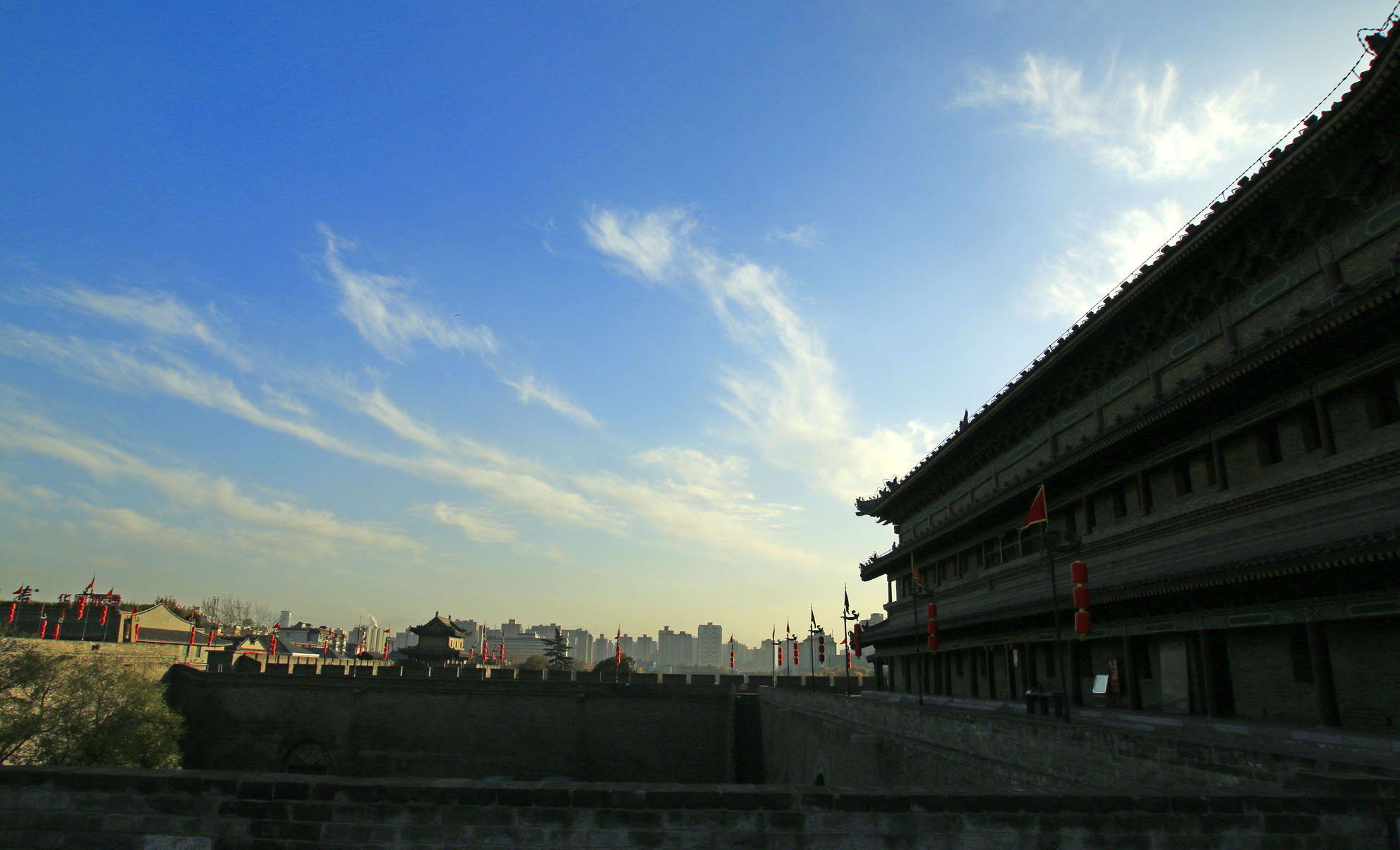 _MG_2355.JPG