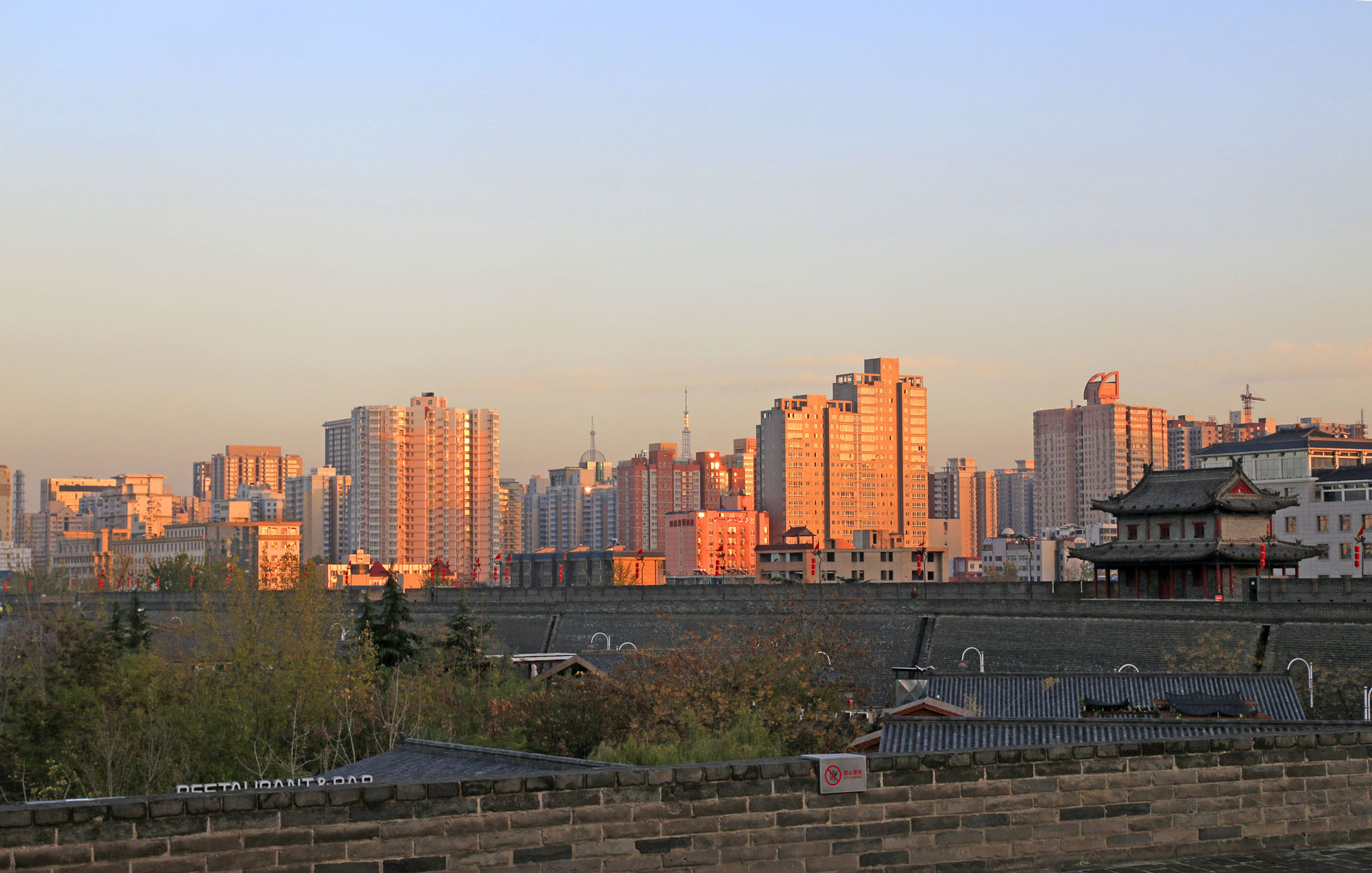 _MG_2511.JPG