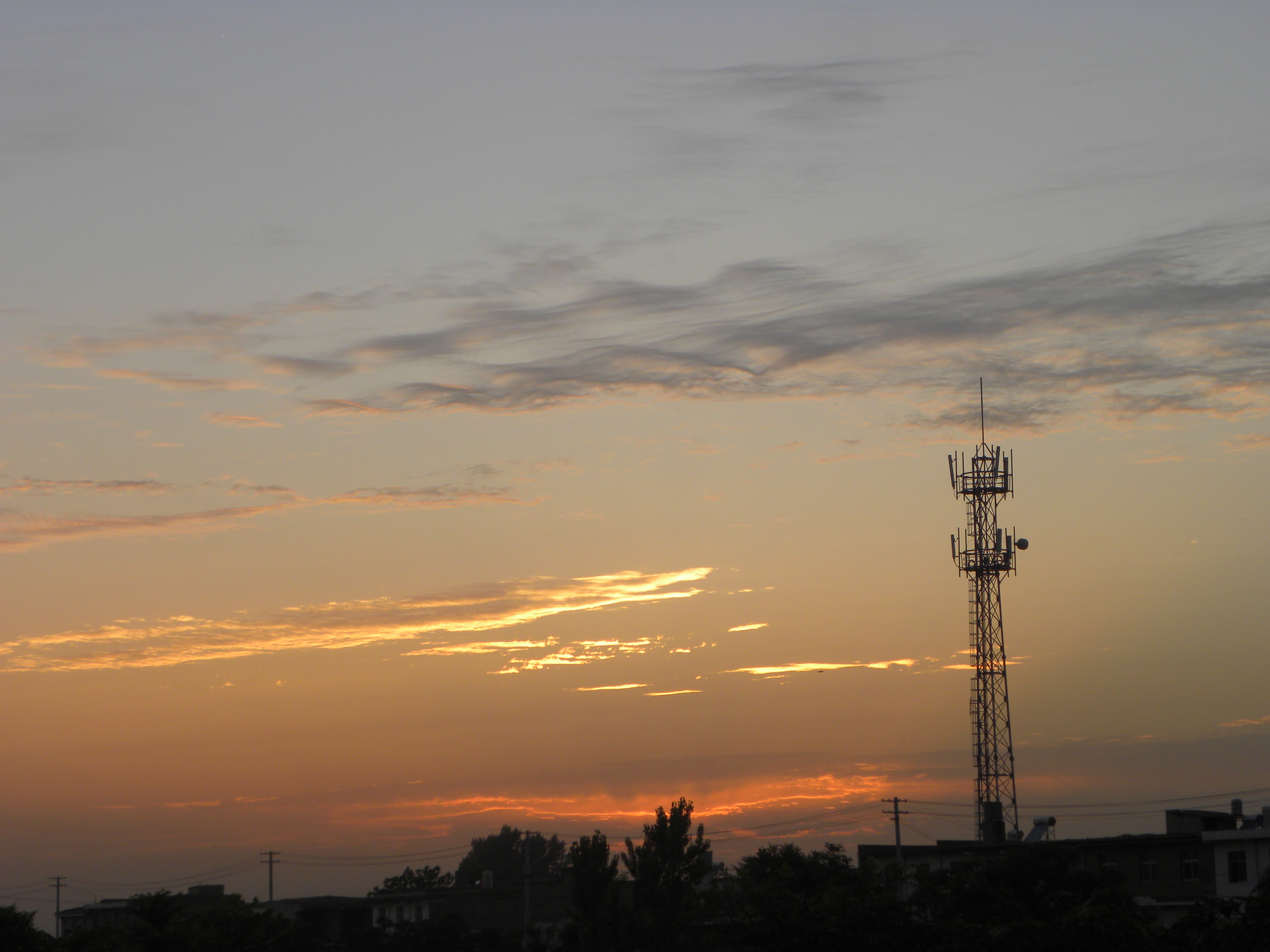DSCN8170.JPG